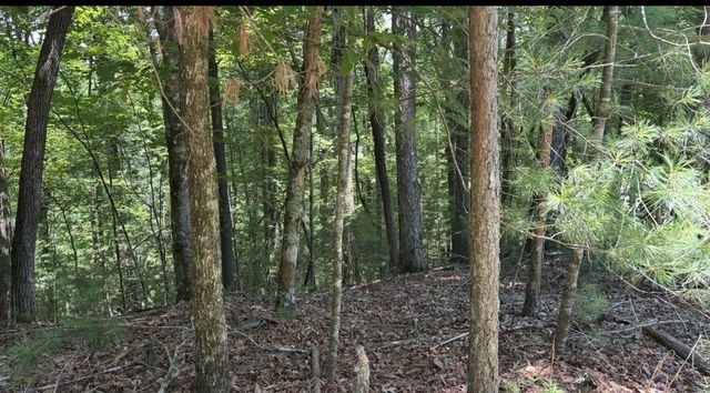 Lot 3662 Hannah Court, Ellijay, GA 30540