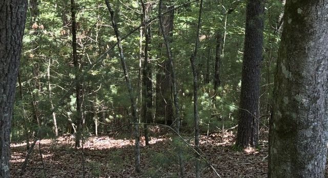 Lot 3662 Hannah Court, Ellijay, GA 30540