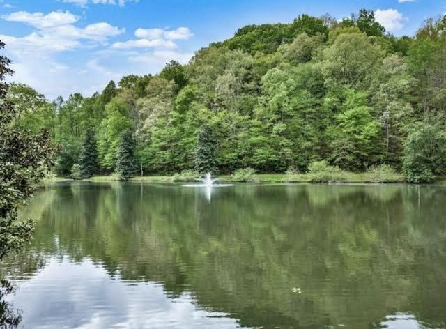 Lot 3662 Hannah Court, Ellijay, GA 30540