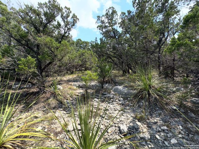 8902 Saddle, San Antonio, TX 78255