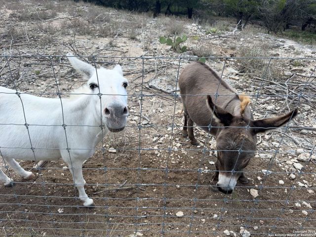 8902 Saddle, San Antonio, TX 78255