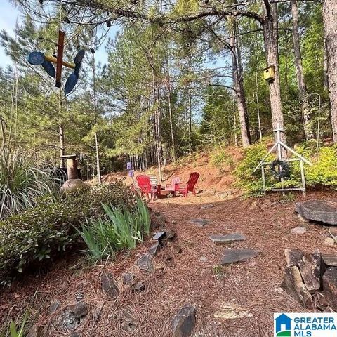 479 SCENIC VIEW LANE, Hoover, AL 35244