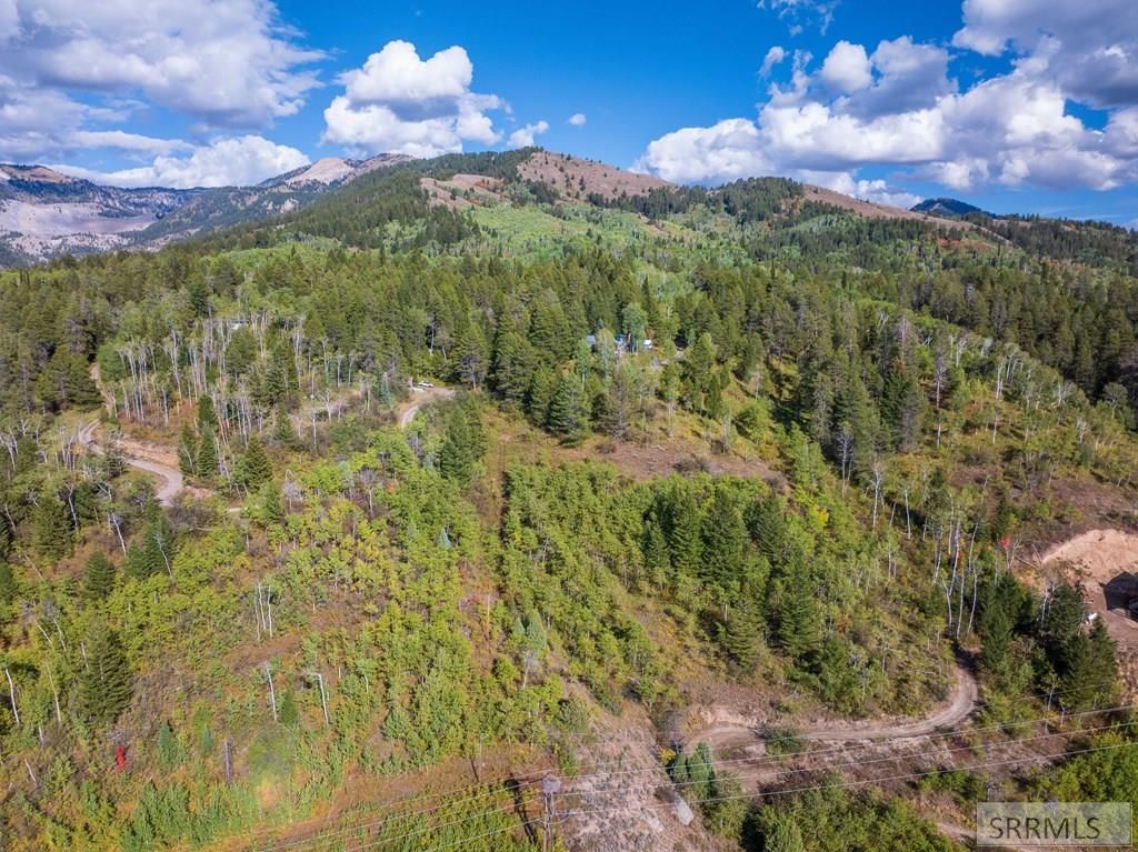 Image 13 of property listing at TBD Kellogg Lane, Irwin, ID 83428