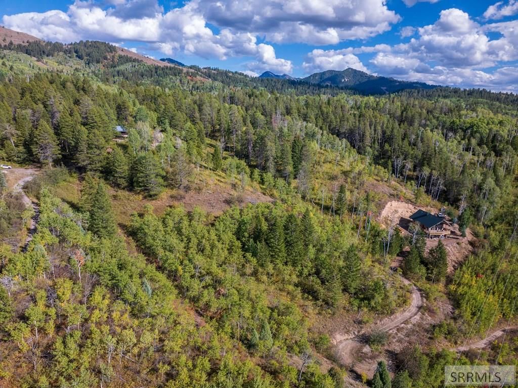 Image 14 of property listing at TBD Kellogg Lane, Irwin, ID 83428