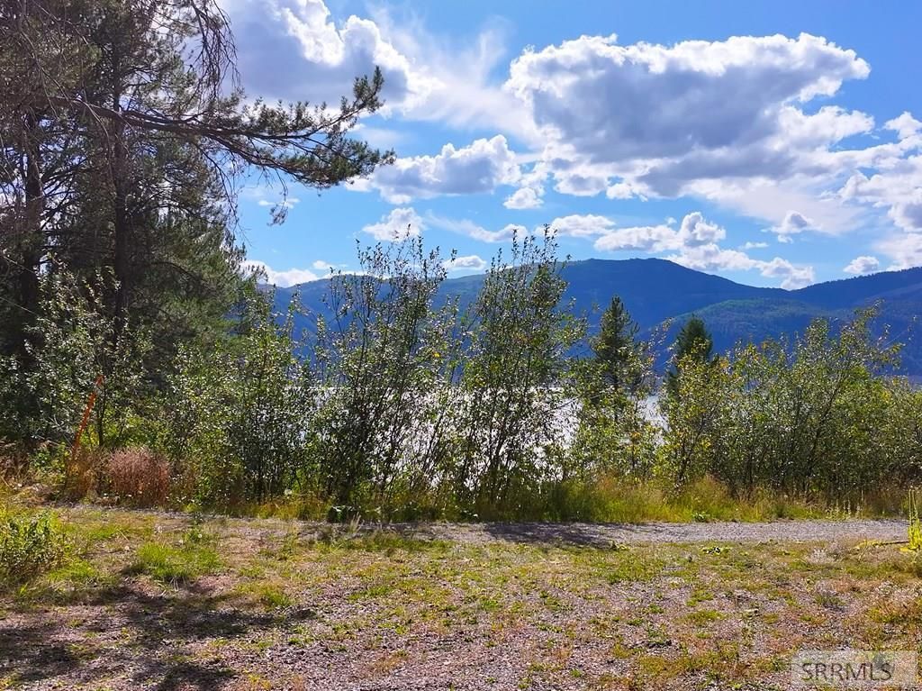 Image 5 of property listing at TBD Kellogg Lane, Irwin, ID 83428