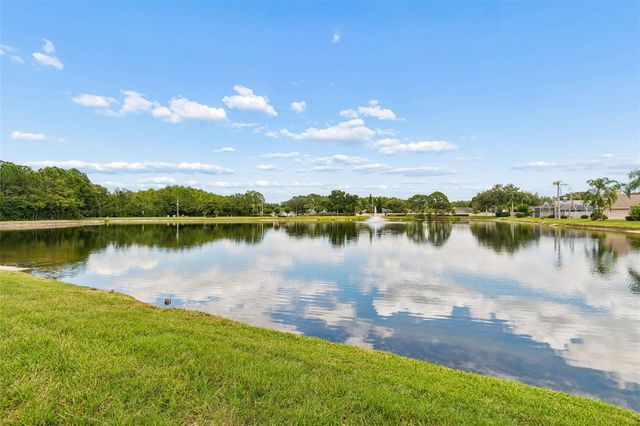 1226 HOVERSHAM DRIVE, New Port Richey, FL 34655