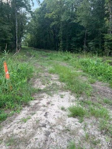 6572 N Hwy 17, Awendaw, SC 29429