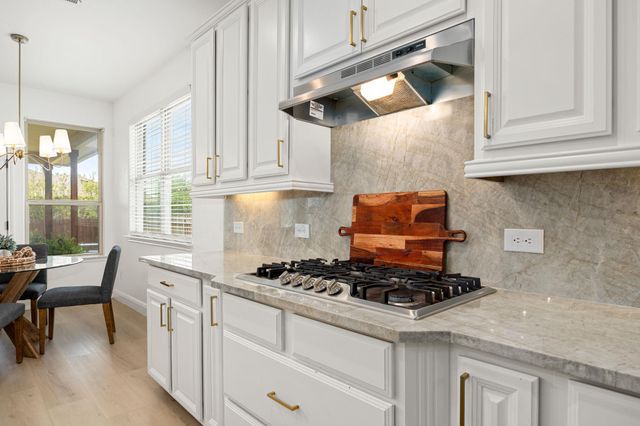 225 Pettigrew PATH, Buda, TX 78610
