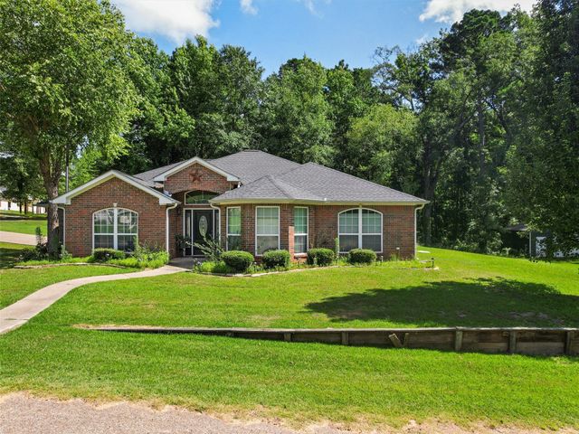 114 Heather LN, Diana, TX 75640