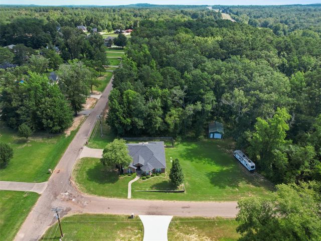 114 Heather LN, Diana, TX 75640