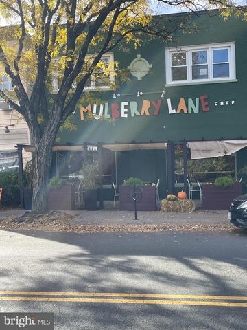 565 E NELSON AVE, Alexandria, VA 22301