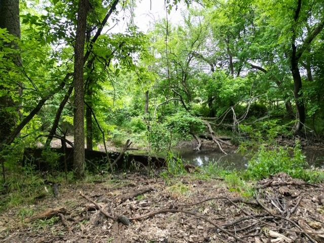 12001 Highway 43, Maysville, AR 72747