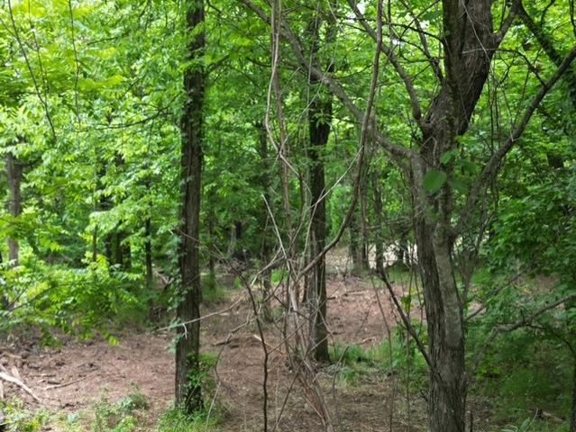 12001 Highway 43, Maysville, AR 72747