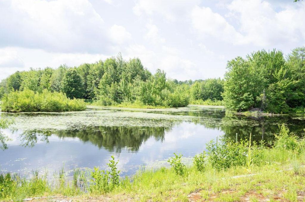 57 Pinewood Drive, Altona, NY 12910