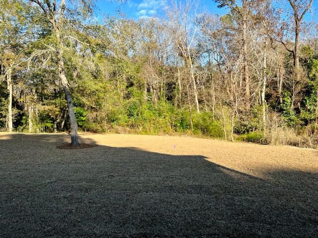 710 Spark Street, Mount Pleasant, SC 29464