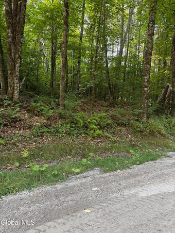 362 Dickinson Hill Road, Bolton, NY 12824