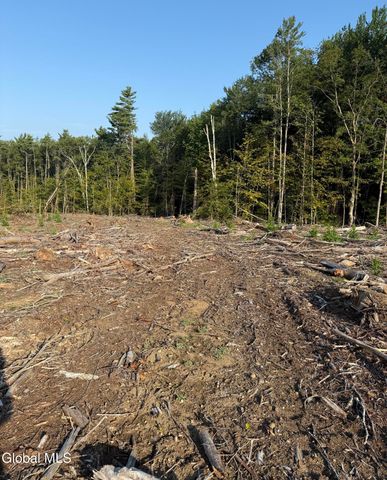 362 Dickinson Hill Road, Bolton, NY 12824