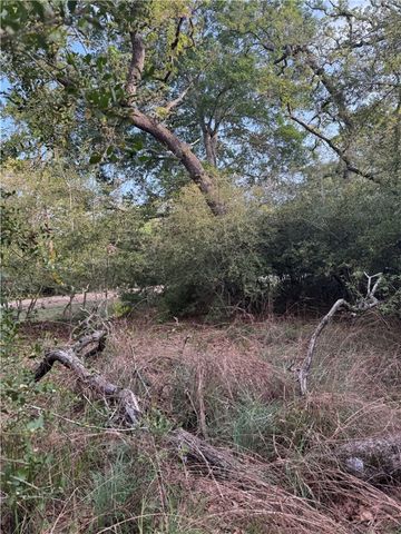 302 Trail Hollow Circle, Somerville, TX 77879