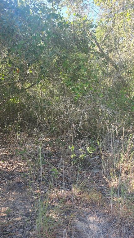 000 4th, Ingleside, TX 78362 — photo 2