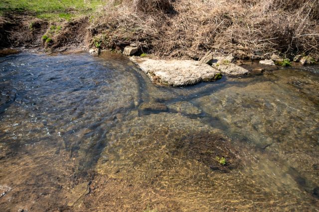 1771 Cornersville Hwy, Lewisburg, TN 37091