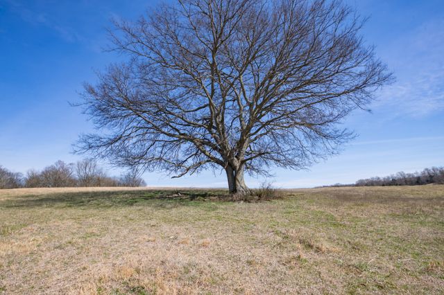 1771 Cornersville Hwy, Lewisburg, TN 37091