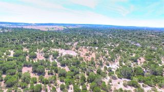 2W Tract 4 County Road 2200, Lometa, TX 76853