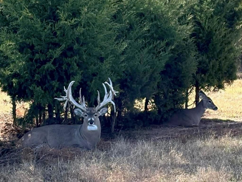 Image 1 of property listing at 368145 E 980 Road, Boley, OK 74829