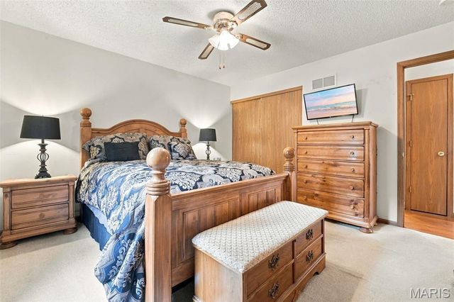 52 E Lakeview Drive, De Soto, MO 63020