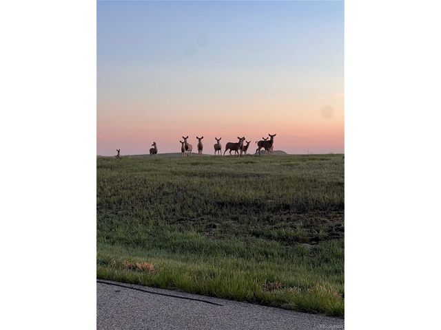 625 Coyote Trl, Elizabeth, CO 80107