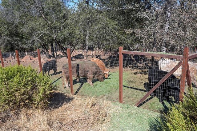 5110 Broken Bow Ln, Rescue, CA 95672