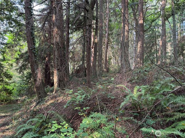 0 XXX Sills Road, Clinton, WA 98236