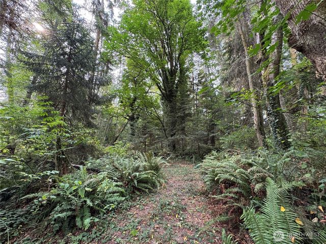 0 XXX Sills Road, Clinton, WA 98236