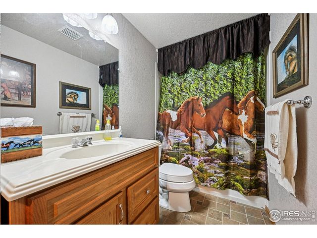 4673 Pinon Dr, Elizabeth, CO 80107