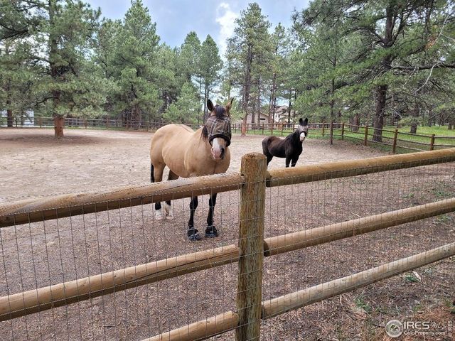 4673 Pinon Dr, Elizabeth, CO 80107