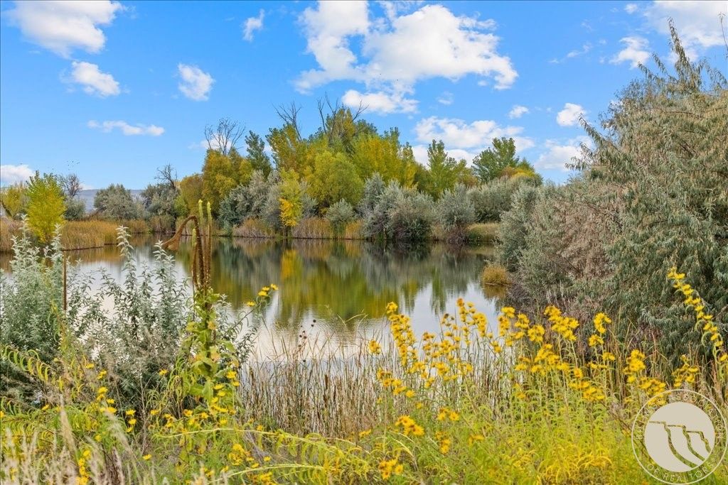 10052 Floating Island WAY, Shepherd, MT 59079 photo 2