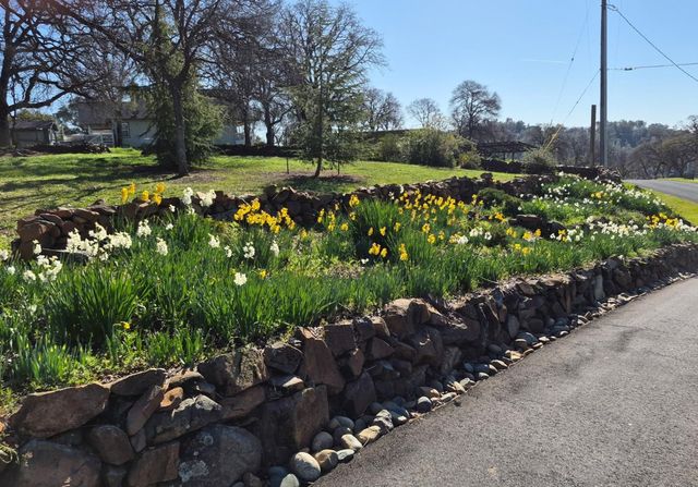 20626 Wildwood West Dr, Penn Valley, CA 95946