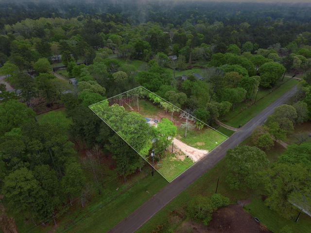 17411 Rolling Hill Lane, Waller, TX 77484