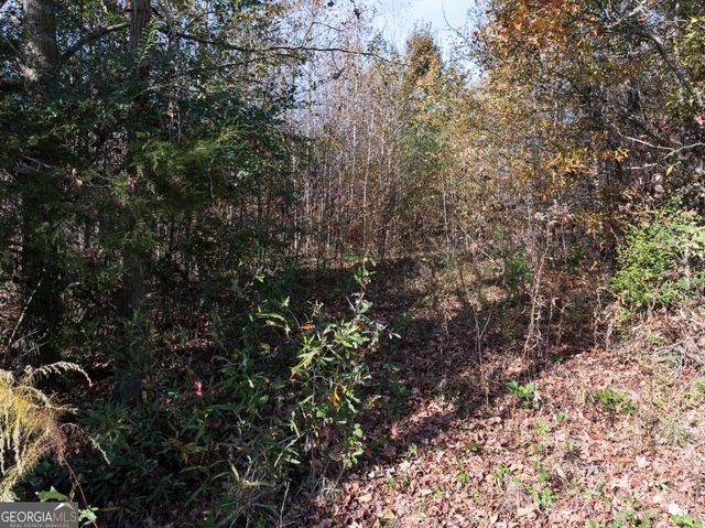 6.98 ACRES New Franklin Church Road, Canon, GA 30520