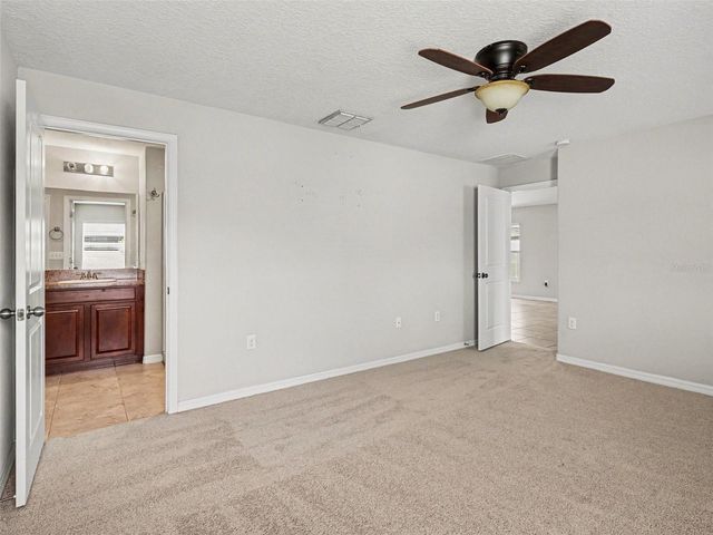 16803 PEACEFUL VALLEY DRIVE, Wimauma, FL 33598