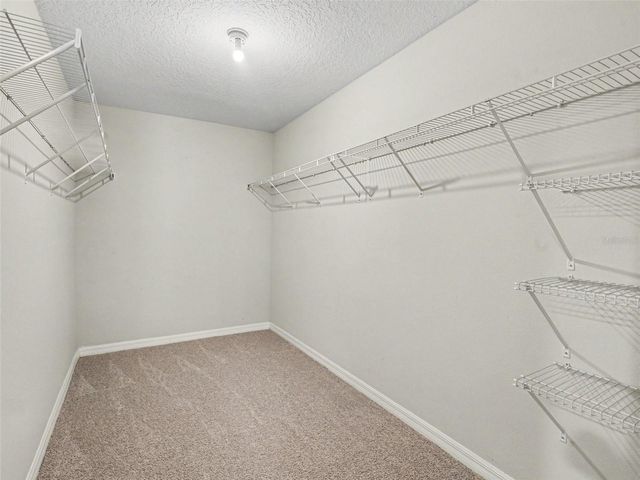 16803 PEACEFUL VALLEY DRIVE, Wimauma, FL 33598