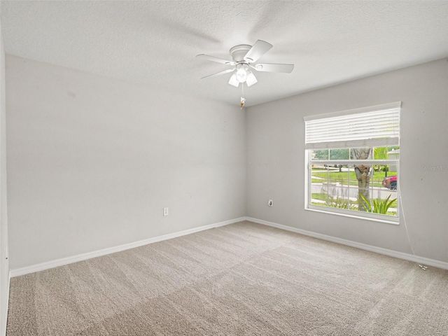 16803 PEACEFUL VALLEY DRIVE, Wimauma, FL 33598