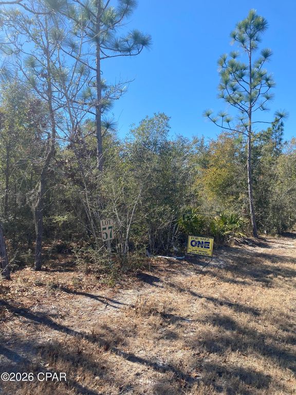 4520 Silkwater Lane, Southport, FL 32409