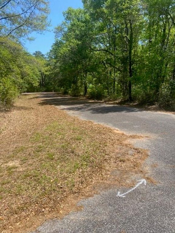3851 River Road, Theodore, AL 36582 — photo 2