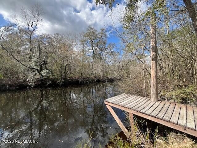 4333 HAWK HAVEN Road, Middleburg, FL 32068