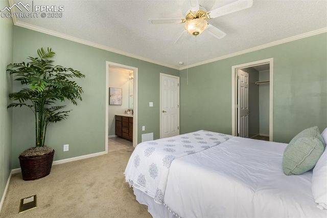 3167 Hearthridge Circle, Colorado Springs, CO 80918