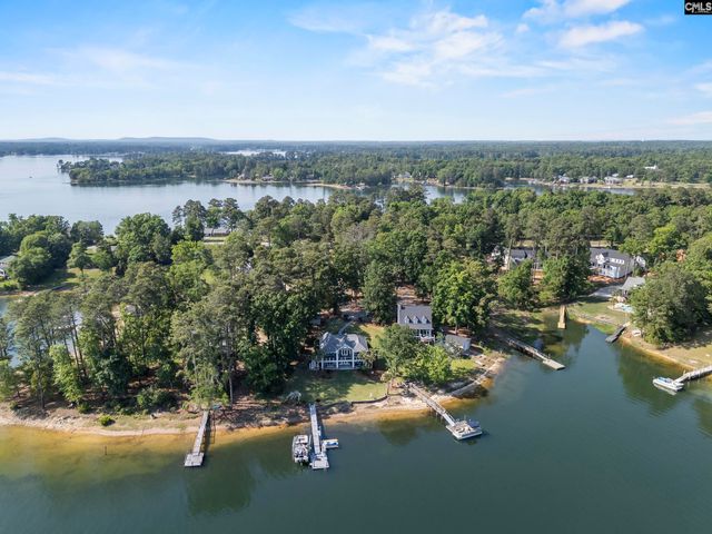 315 Old Landing Court, Chapin, SC 29036