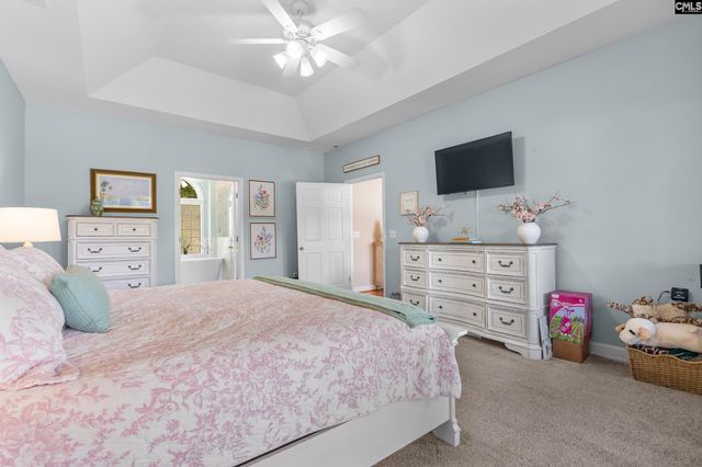 315 Old Landing Court, Chapin, SC 29036