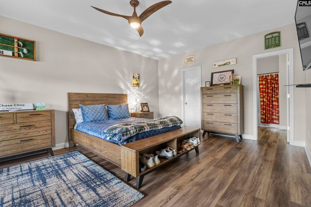315 Old Landing Court, Chapin, SC 29036