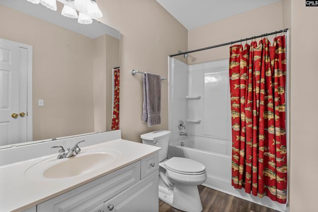 315 Old Landing Court, Chapin, SC 29036