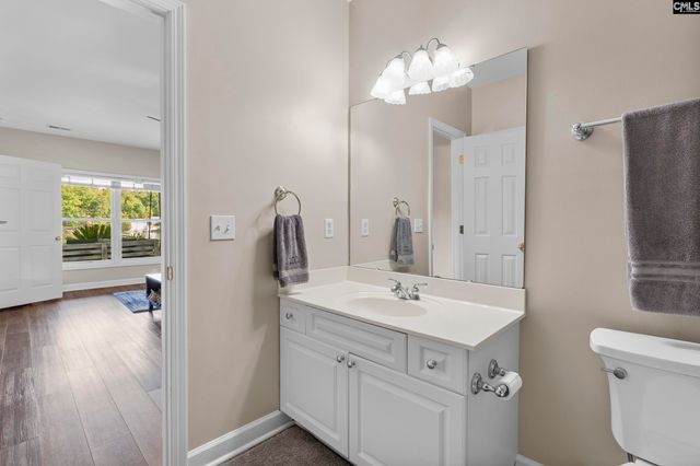 315 Old Landing Court, Chapin, SC 29036